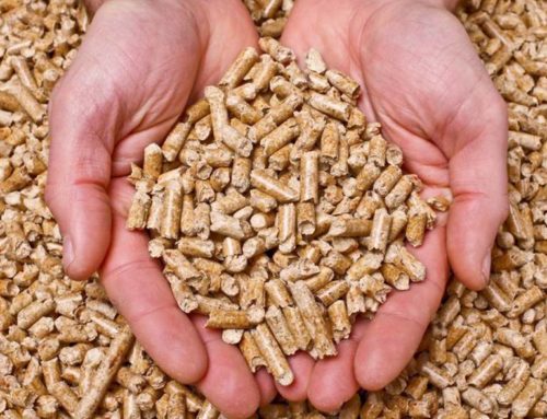 Alla ricerca di pellet di qualità