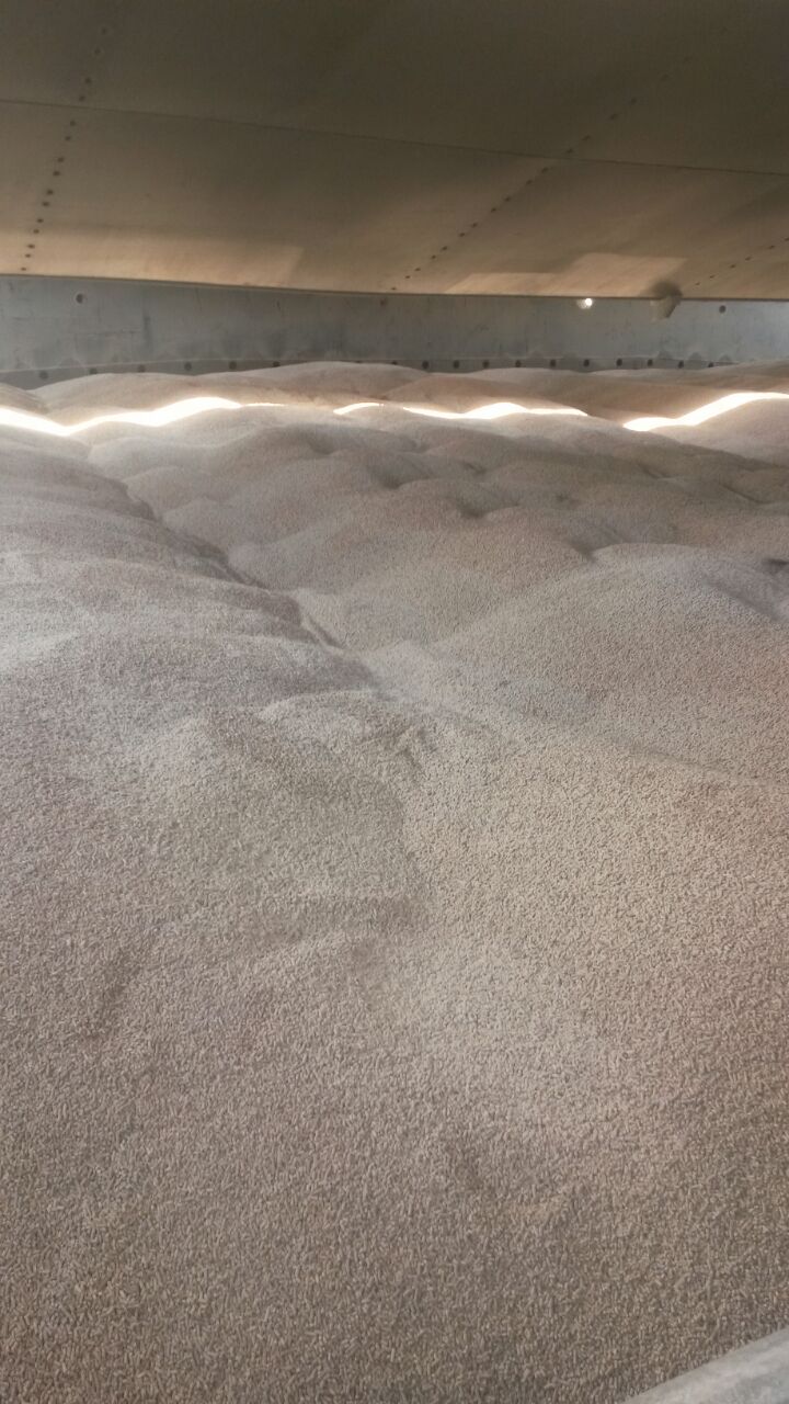 Pellet Canadese Professional Pellets